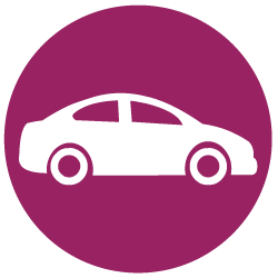 pearl-rose-insure-travel-vector